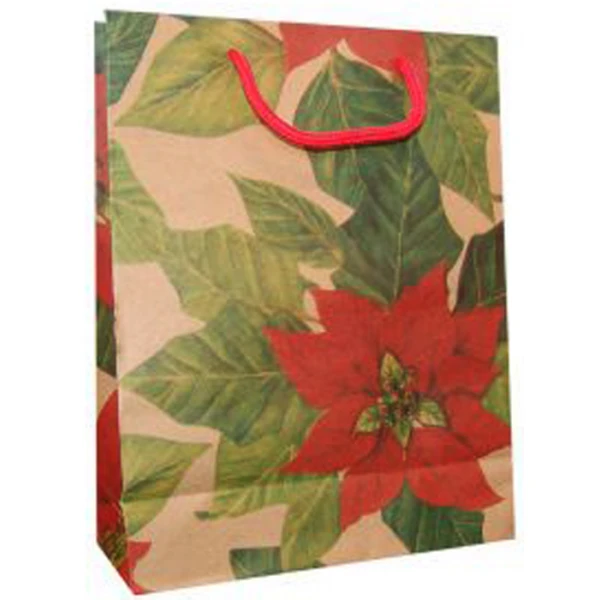 Sacosa cadou din carton natur Sacosa cadou din carton natur